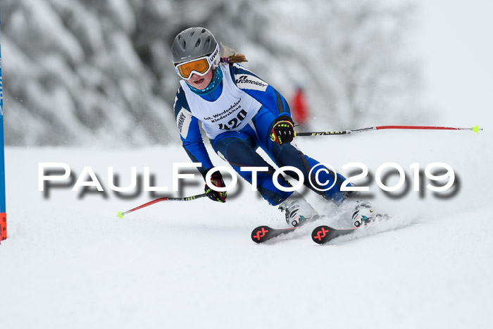 Werdenfelser Kinderskitag. mit Ziener und BZB Cup 2019