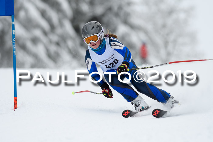 Werdenfelser Kinderskitag. mit Ziener und BZB Cup 2019