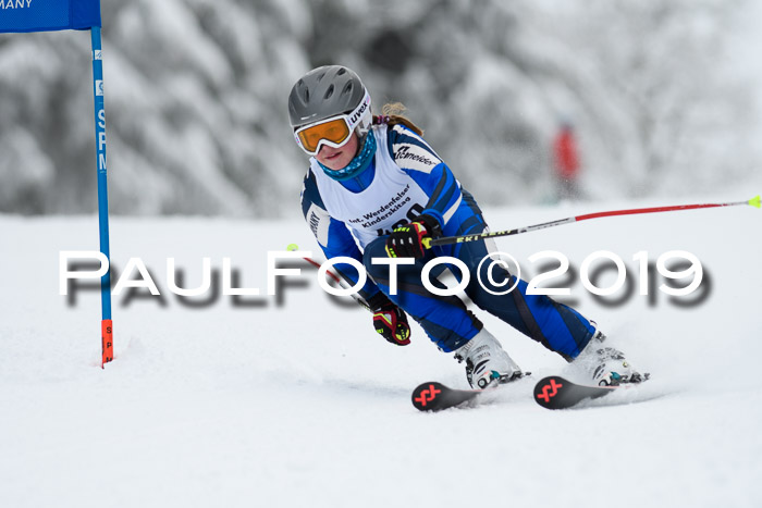 Werdenfelser Kinderskitag. mit Ziener und BZB Cup 2019