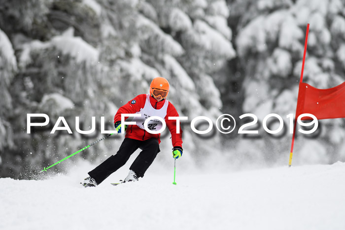 Werdenfelser Kinderskitag. mit Ziener und BZB Cup 2019