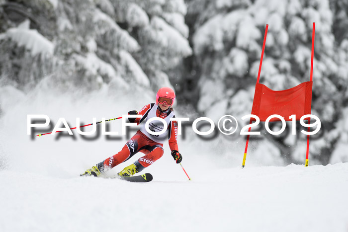 Werdenfelser Kinderskitag. mit Ziener und BZB Cup 2019