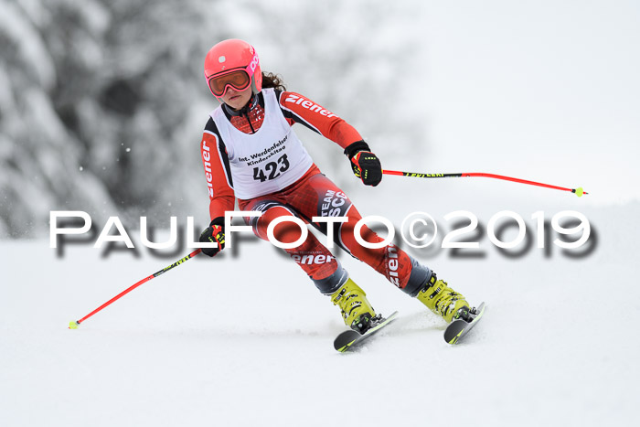Werdenfelser Kinderskitag. mit Ziener und BZB Cup 2019