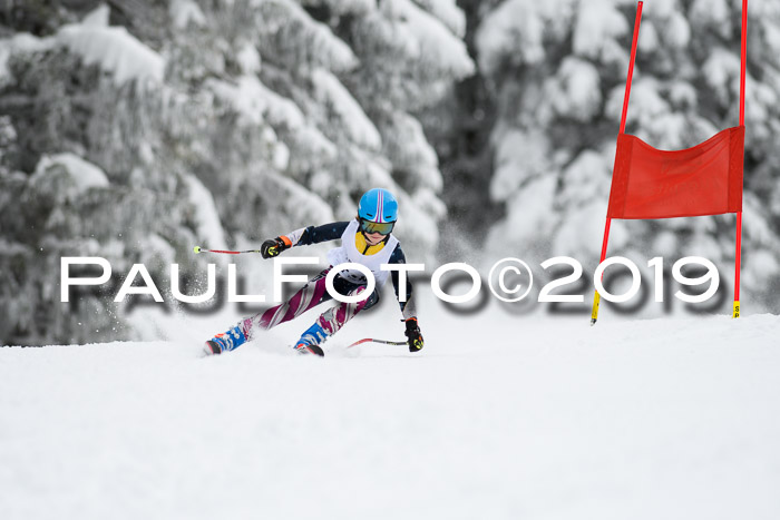 Werdenfelser Kinderskitag. mit Ziener und BZB Cup 2019