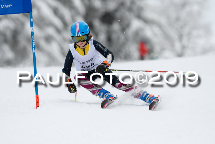 Werdenfelser Kinderskitag. mit Ziener und BZB Cup 2019