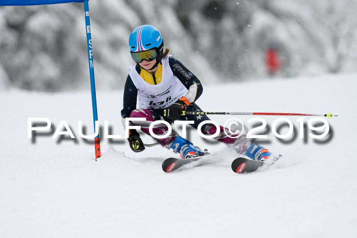Werdenfelser Kinderskitag. mit Ziener und BZB Cup 2019