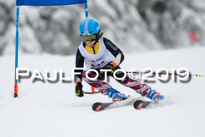 Werdenfelser Kinderskitag. mit Ziener und BZB Cup 2019