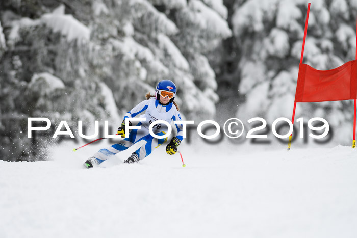 Werdenfelser Kinderskitag. mit Ziener und BZB Cup 2019