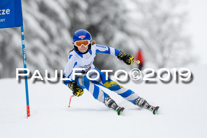 Werdenfelser Kinderskitag. mit Ziener und BZB Cup 2019