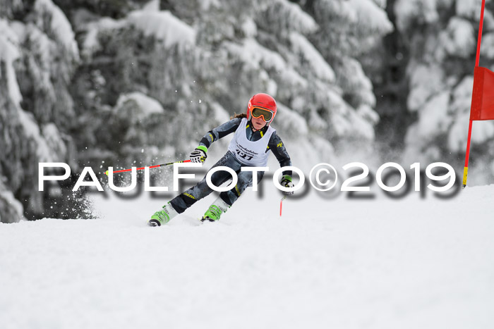 Werdenfelser Kinderskitag. mit Ziener und BZB Cup 2019