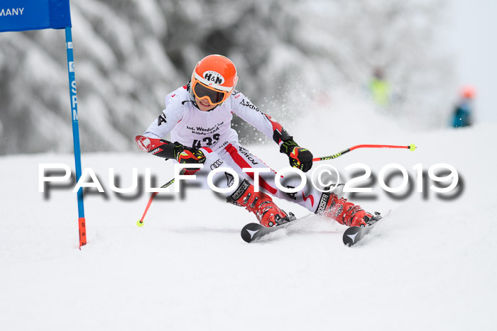 Werdenfelser Kinderskitag. mit Ziener und BZB Cup 2019