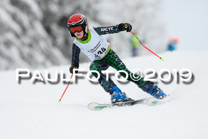 Werdenfelser Kinderskitag. mit Ziener und BZB Cup 2019