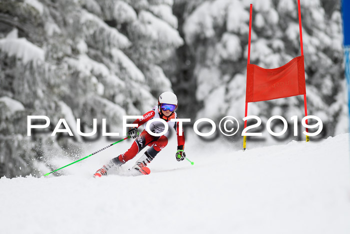 Werdenfelser Kinderskitag. mit Ziener und BZB Cup 2019