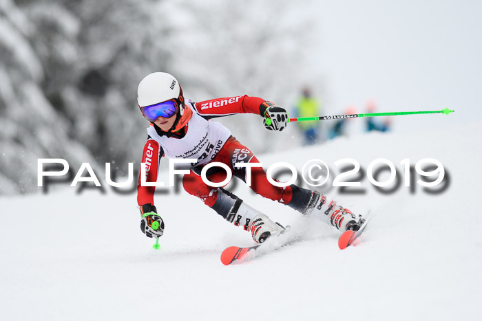 Werdenfelser Kinderskitag. mit Ziener und BZB Cup 2019