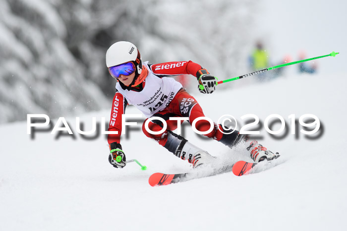 Werdenfelser Kinderskitag. mit Ziener und BZB Cup 2019