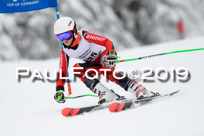 Werdenfelser Kinderskitag. mit Ziener und BZB Cup 2019