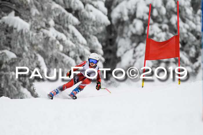 Werdenfelser Kinderskitag. mit Ziener und BZB Cup 2019