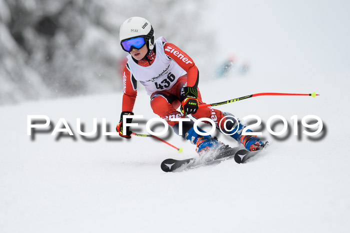 Werdenfelser Kinderskitag. mit Ziener und BZB Cup 2019