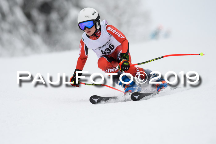 Werdenfelser Kinderskitag. mit Ziener und BZB Cup 2019