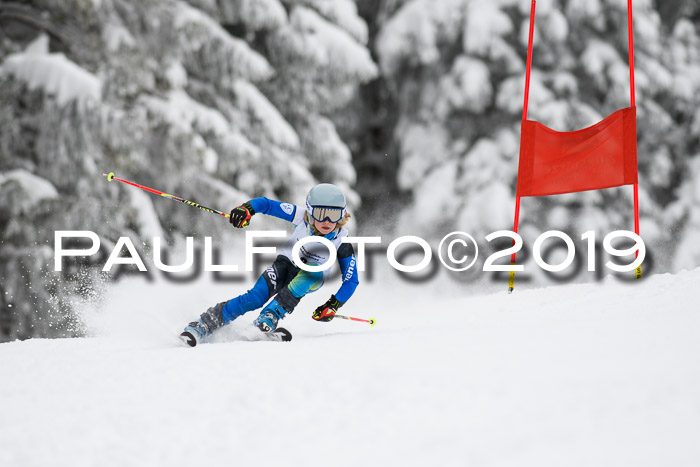 Werdenfelser Kinderskitag. mit Ziener und BZB Cup 2019