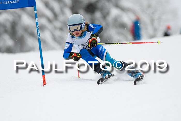 Werdenfelser Kinderskitag. mit Ziener und BZB Cup 2019