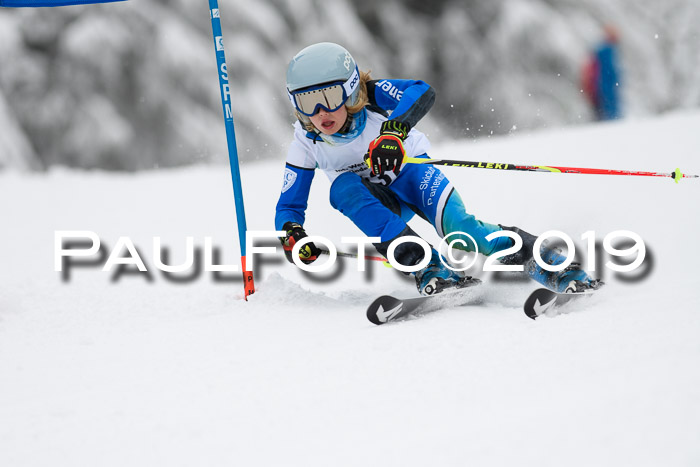 Werdenfelser Kinderskitag. mit Ziener und BZB Cup 2019