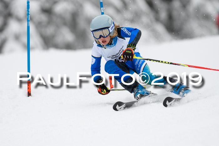 Werdenfelser Kinderskitag. mit Ziener und BZB Cup 2019