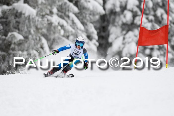 Werdenfelser Kinderskitag. mit Ziener und BZB Cup 2019