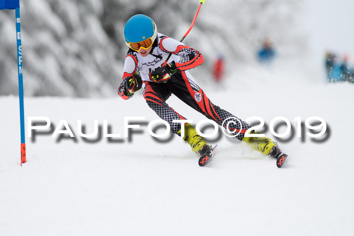Werdenfelser Kinderskitag. mit Ziener und BZB Cup 2019