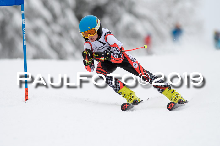 Werdenfelser Kinderskitag. mit Ziener und BZB Cup 2019