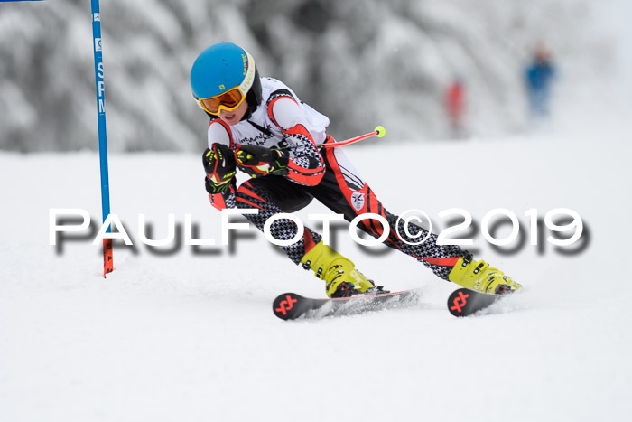 Werdenfelser Kinderskitag. mit Ziener und BZB Cup 2019