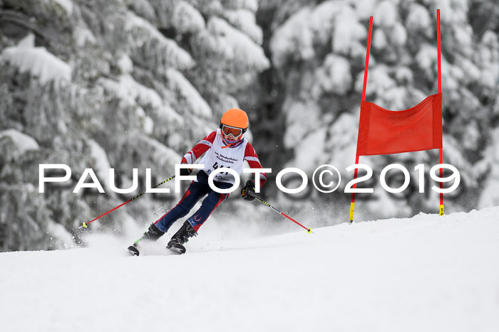 Werdenfelser Kinderskitag. mit Ziener und BZB Cup 2019