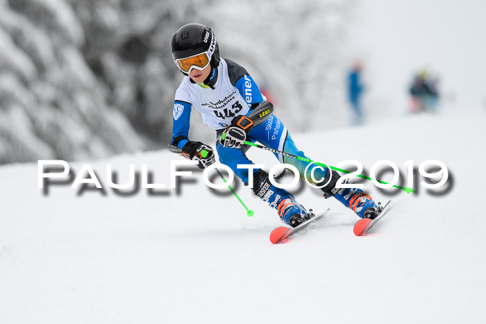 Werdenfelser Kinderskitag. mit Ziener und BZB Cup 2019