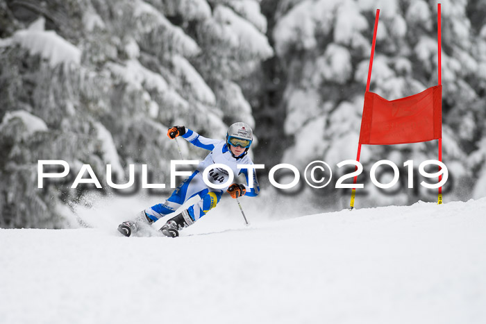 Werdenfelser Kinderskitag. mit Ziener und BZB Cup 2019