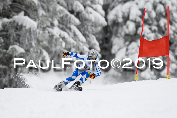 Werdenfelser Kinderskitag. mit Ziener und BZB Cup 2019