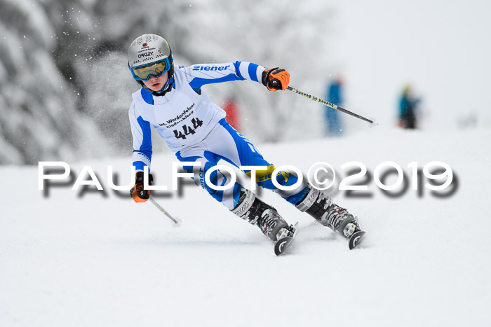 Werdenfelser Kinderskitag. mit Ziener und BZB Cup 2019