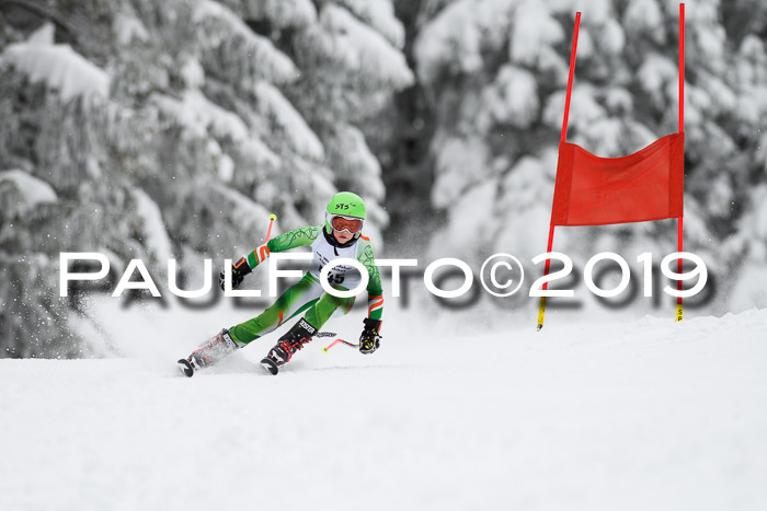Werdenfelser Kinderskitag. mit Ziener und BZB Cup 2019