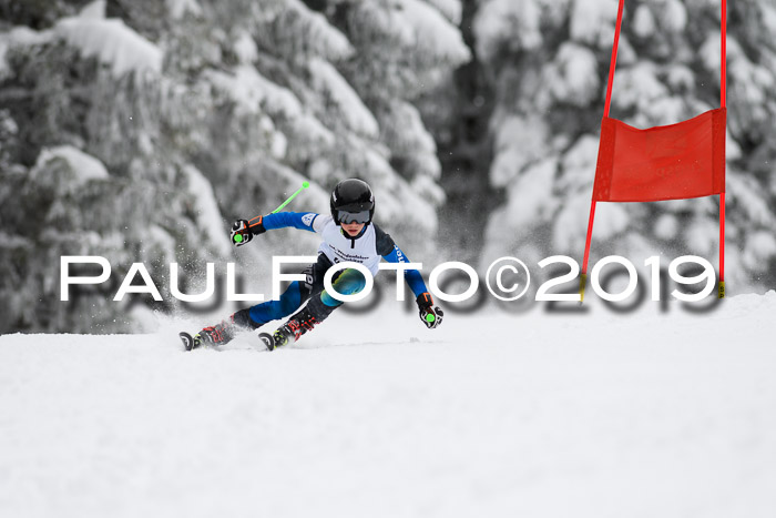Werdenfelser Kinderskitag. mit Ziener und BZB Cup 2019
