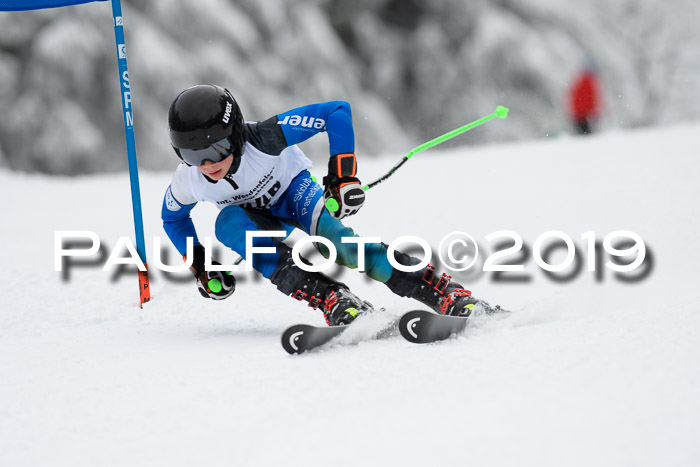 Werdenfelser Kinderskitag. mit Ziener und BZB Cup 2019