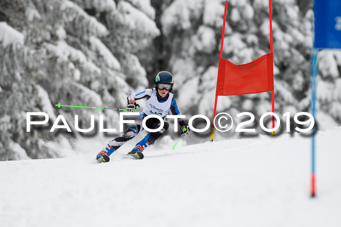 Werdenfelser Kinderskitag. mit Ziener und BZB Cup 2019