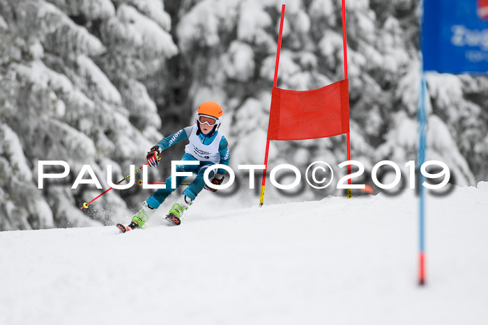 Werdenfelser Kinderskitag. mit Ziener und BZB Cup 2019