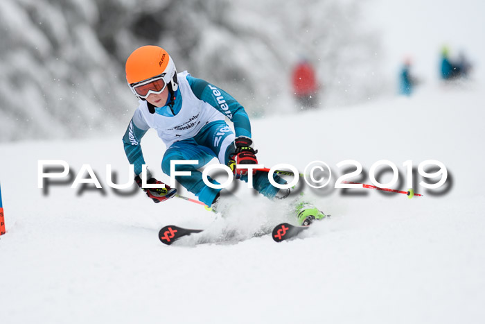 Werdenfelser Kinderskitag. mit Ziener und BZB Cup 2019