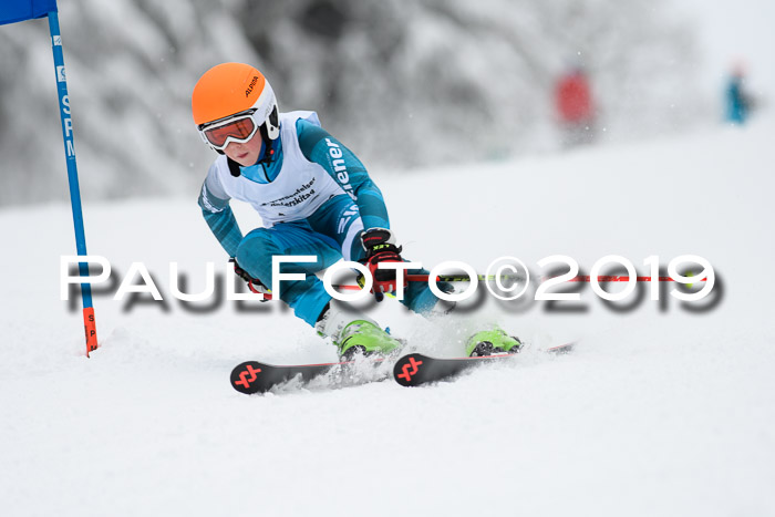 Werdenfelser Kinderskitag. mit Ziener und BZB Cup 2019