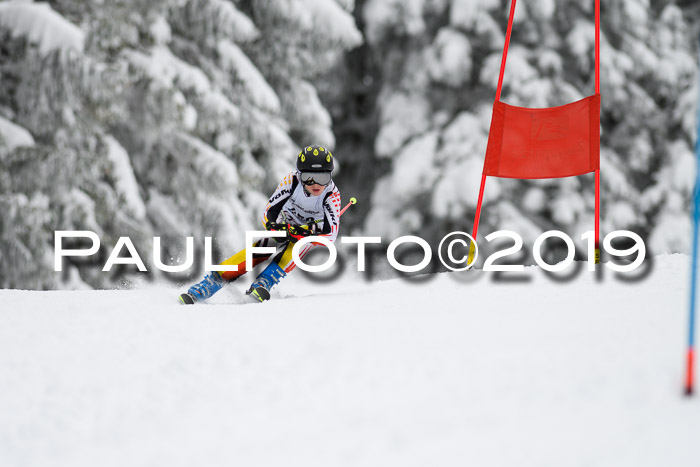 Werdenfelser Kinderskitag. mit Ziener und BZB Cup 2019