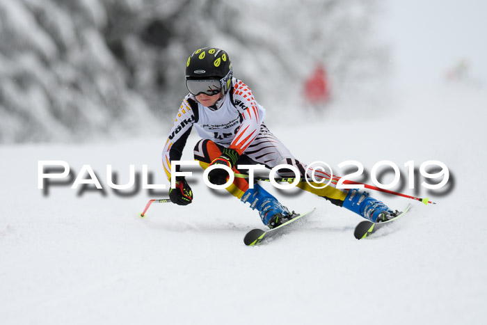 Werdenfelser Kinderskitag. mit Ziener und BZB Cup 2019