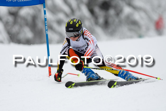 Werdenfelser Kinderskitag. mit Ziener und BZB Cup 2019