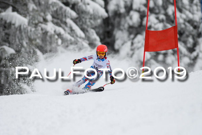 Werdenfelser Kinderskitag. mit Ziener und BZB Cup 2019