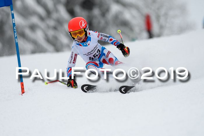 Werdenfelser Kinderskitag. mit Ziener und BZB Cup 2019