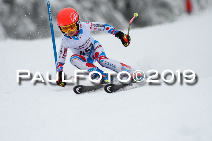Werdenfelser Kinderskitag. mit Ziener und BZB Cup 2019