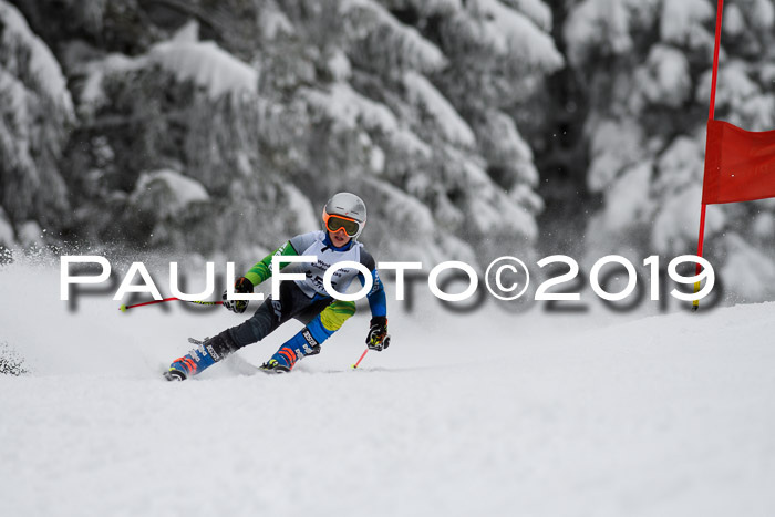 Werdenfelser Kinderskitag. mit Ziener und BZB Cup 2019
