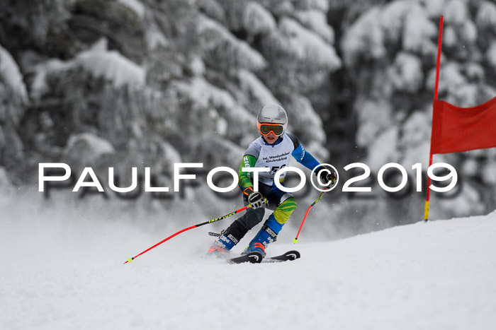 Werdenfelser Kinderskitag. mit Ziener und BZB Cup 2019